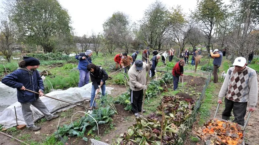 Cittadini al lavoro in un'area verde convertita a orto sociale urbano