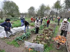 Cittadini al lavoro in un'area verde convertita a orto sociale urbano