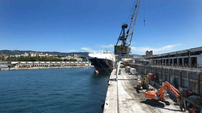 sterle trieste punto franco nuovo lavori al molo VI conservare alla c a dott s maranzana