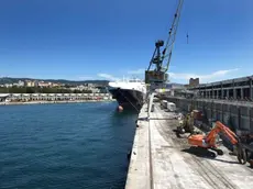 sterle trieste punto franco nuovo lavori al molo VI conservare alla c a dott s maranzana