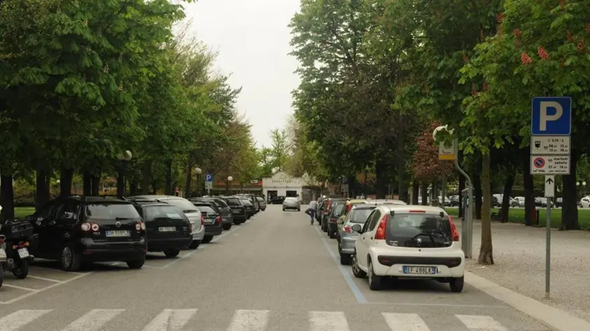 Bumbaca Gorizia 12.04.2011 Gradisca, viale centrale Giardini - Fotografia di Pierluigi Bumbaca