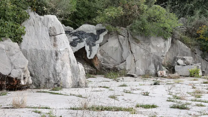 Il sito paleontologico del Villaggio del Pescatore