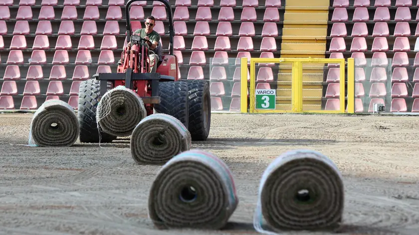 Le zolle d'erba pronte per la posa allo stadio Rocco di Trieste