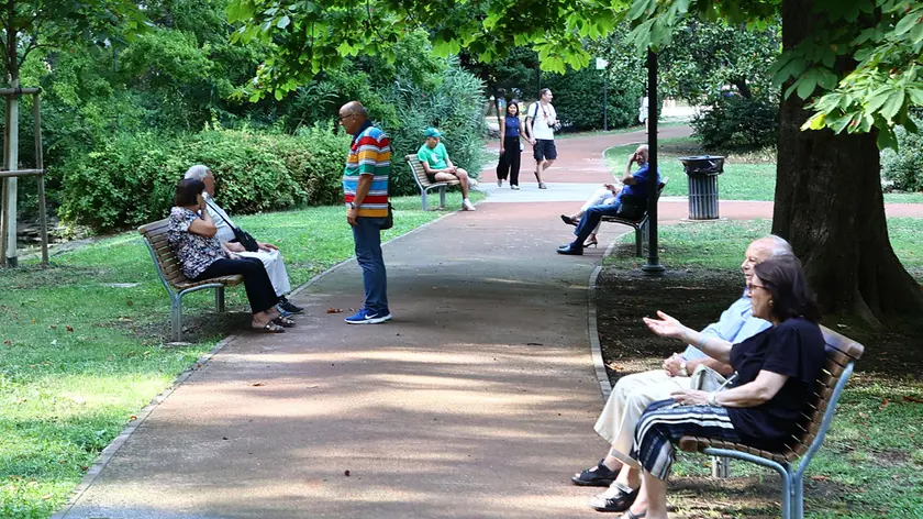Il Giardino pubblico, un ratto in piazza della Libertà e una faina urbanizzata, nemico naturale dei ratti a Trieste