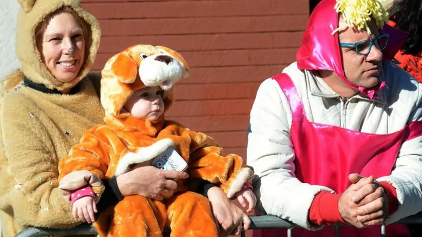 Foto BRUNI 25.02.17 carnevale di Opicina