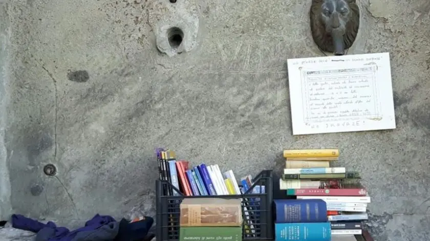 La cassetta dove si possono lasciare i libri e prelevarlI