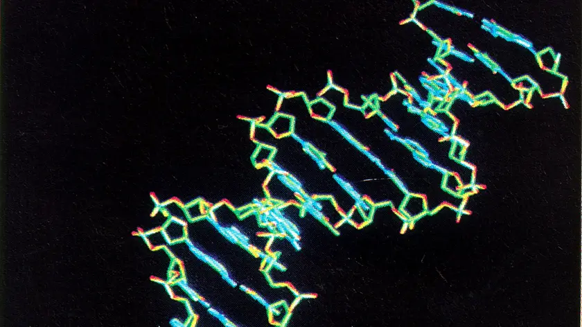 20000625- ROMA - GENOMA , FRA POCHE ORE CONOSCEREMO LIBRO DELLA VITA- Domani l'annuncio del completamento della sequenza del Dna. ARCHIVIO /ANSA/JI