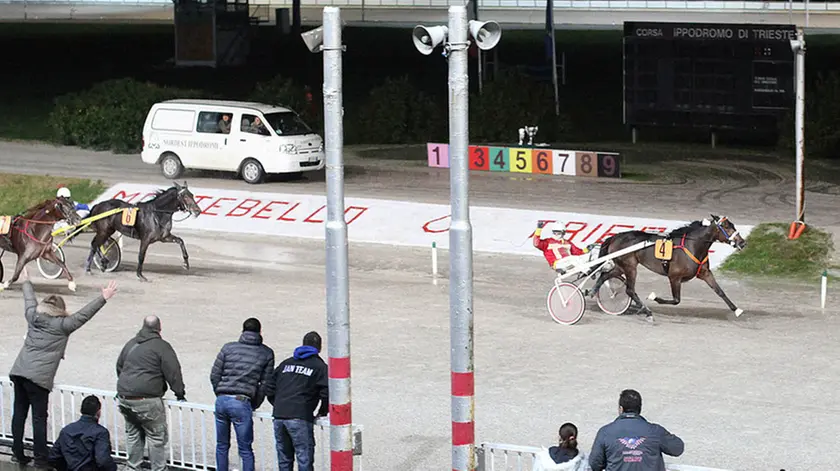Lasorte Trieste 30/11/14 - Ippodromo di Montebello, Gran Premio Regione FVG