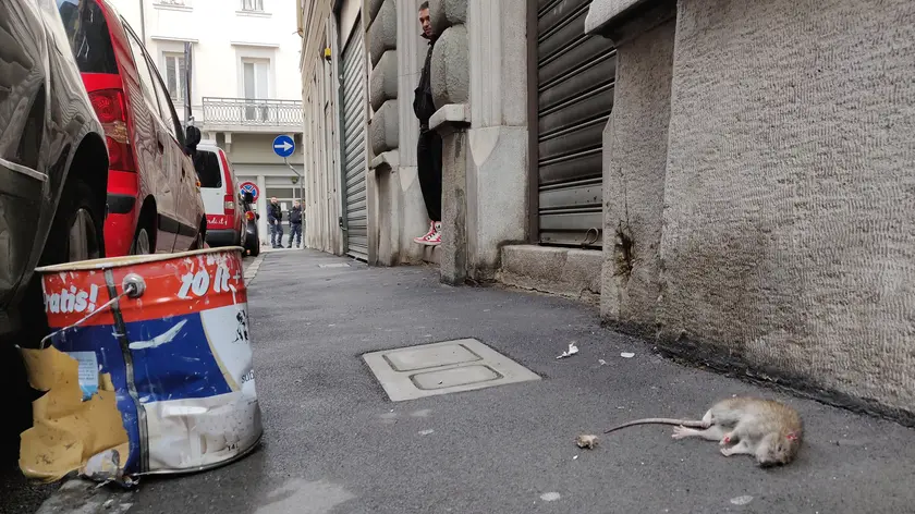 Lasorte Trieste 03/02/19 - Via S.Zaccaria, Sede di CasaPound