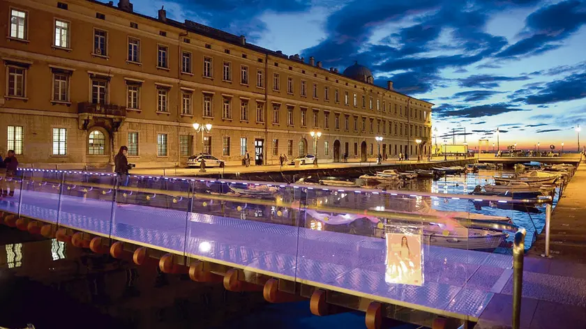 Foto Bruni Trieste 05.09.16 Ponte Joice-illuminato rosa-fuxia