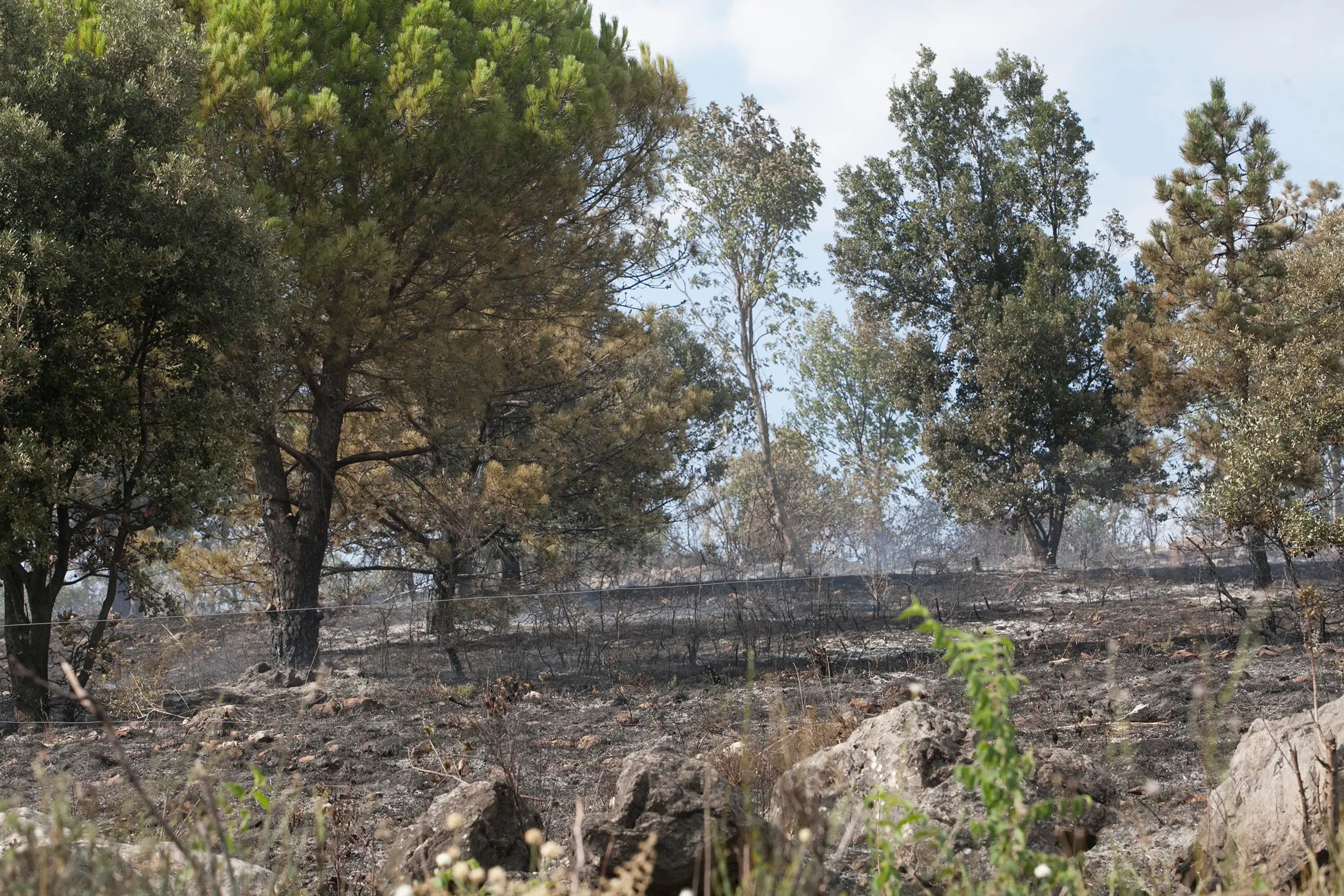 L'area devastata dall'incendio. Foto Katia Bonaventura