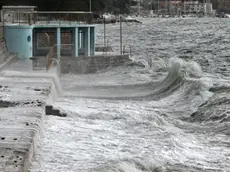 Lasorte Trieste 05/11/12 - Barcola, Spiaggetta Topolini, Mareggiata