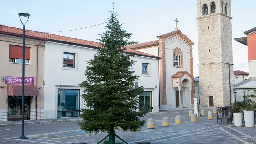 L’albero di Natale di Staranzano Foto Bonaventura
