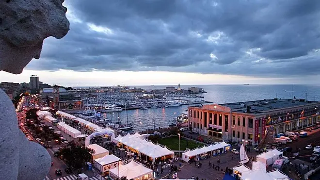 sterle trieste barcolana colore