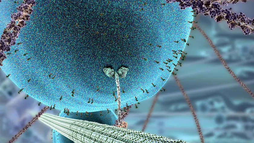 la rappresentazione di una cellula artificiale