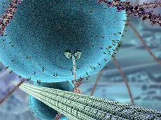 la rappresentazione di una cellula artificiale