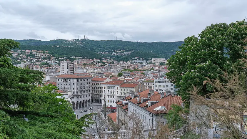 Una veduta delle case di Trieste Foto Massimo Silvano