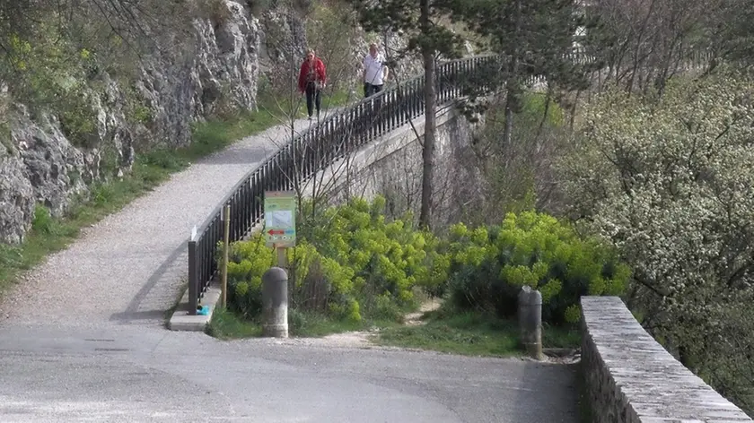 Lasorte Trieste 31/03/16 - Strada Napoleonica