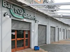 Silvano Trieste 2019-03-05 Bar Gelateria Viti