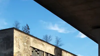 Lasorte Trieste 28/11/15 - Via Svevo, Ex Jutificio