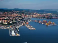 sterle trieste trieste dall'alto alla c a dott alessandro mezzena pregasi gentilmente di conservare queste foto