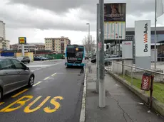 Il punto, all’altezza della fermata dell’autobus di via Flavia, dov’è avvenuta l’aggressione nei confronti del 58enne. Foto di Andrea Lasorte