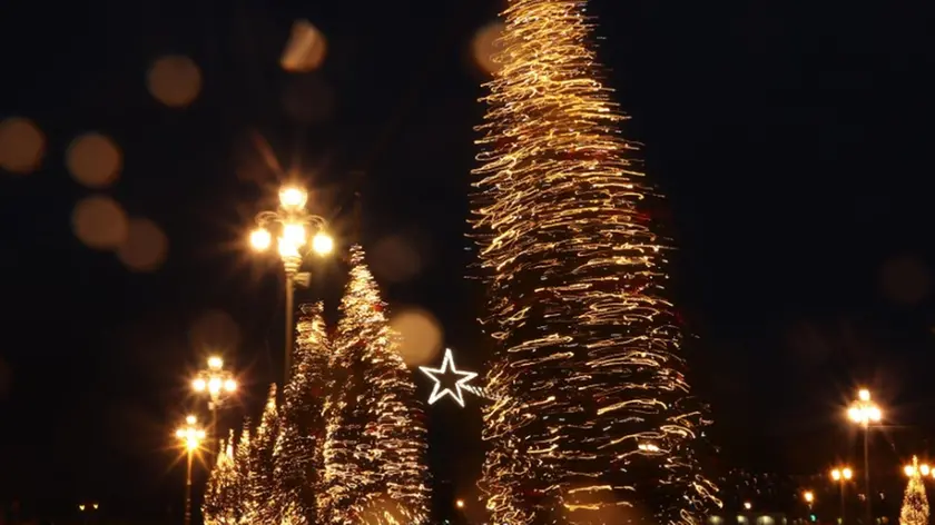 Gli alberi di Natale in piazza Unità a Trieste sferzati dalla Bora Foto Andrea Lasorte