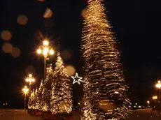 Gli alberi di Natale in piazza Unità a Trieste sferzati dalla Bora Foto Andrea Lasorte