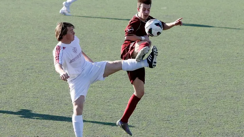 Silvano Trieste 09/03/2014 Calcio, Trieste Calcio - Ronchi