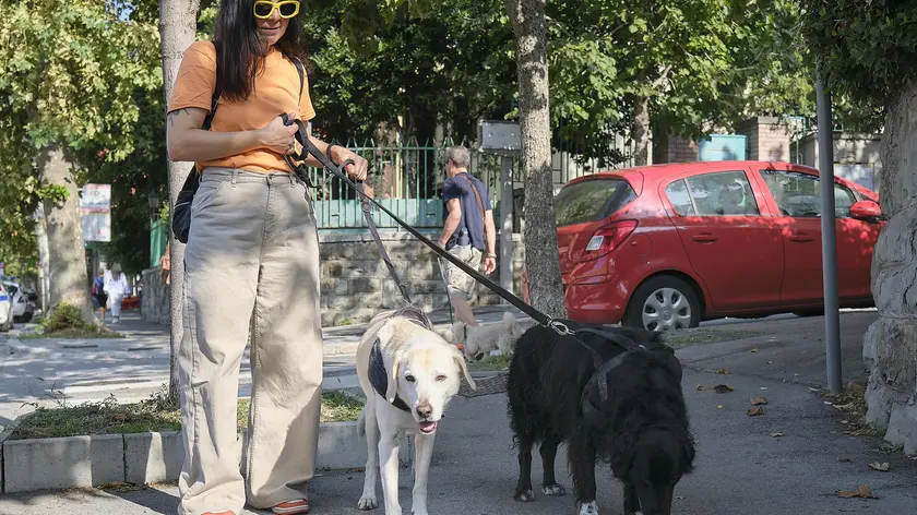 Una ragazza a passeggio in città con due cagnoloni al guinzaglio. Massimo Silvano