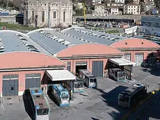 La sede di Trieste Trasporti. Foto Silvano