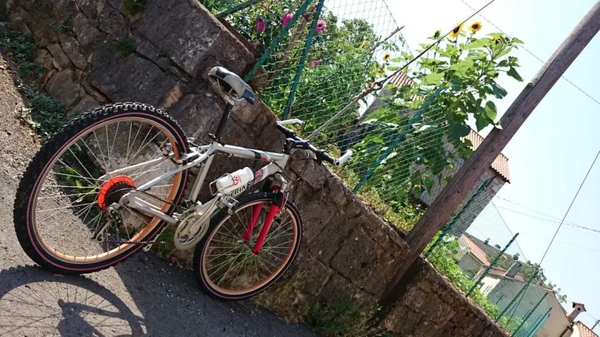 Pedalando sul Carso