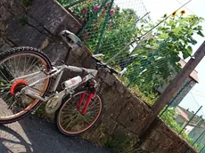 Pedalando sul Carso