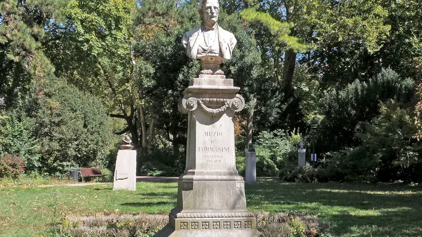 Lasorte Trieste 24/08/16 - Giardino Pubblico, Giardino Inquinato