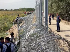 FlŸchtlinge an der serbisch-ungarischen Grenze bei Ršszke../ 150915..***Hundreds of refugees on a hunger strike are blocking the highway to be let into the EU since Hungary have closed the border in Roszke towards Serbia, September,15, 2015*** LaPresse Only italy.I rifugiati al confine serbo-ungherese a Roszke *** Local Caption *** 20500605