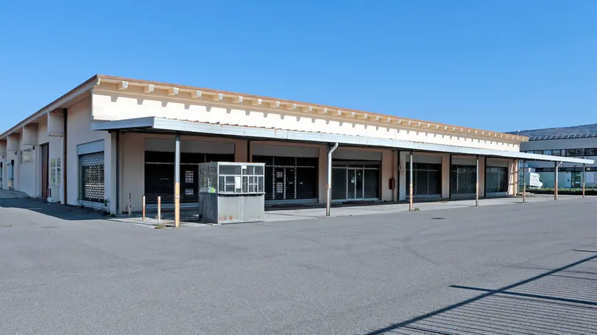 Silvano Trieste 2020-04-02 La Duke e Duke grandi firme