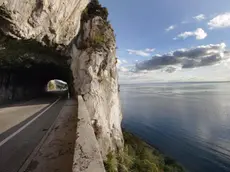 sterle trieste costiera galleria naturale rocciatore