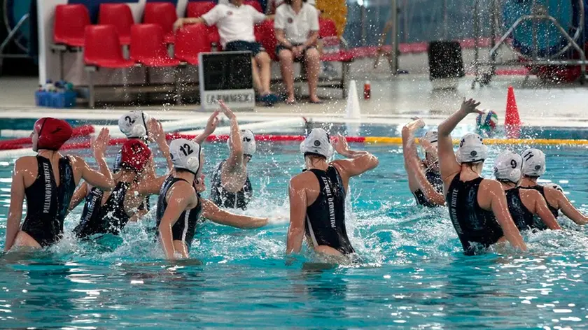 Silvano Trieste 22/01/2017 Pallanuoto, le Orchette