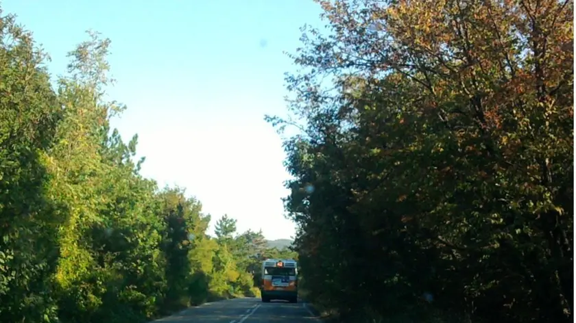 La strada che porta al santuario di Monte Grisa. Foto Lasorte