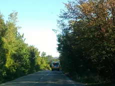 La strada che porta al santuario di Monte Grisa. Foto Lasorte