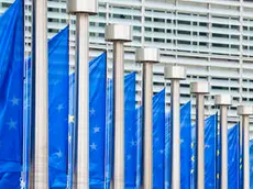 Drapeaux Berlaymont