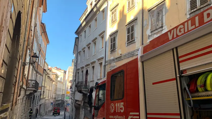 L'intervento dei vigili dei fuoco in via Felice Venezian a Trieste (foto Silvano)