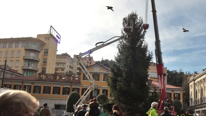 Lasorte Trieste 20/11/13 - Piazza Goldoni, Albero di Natale