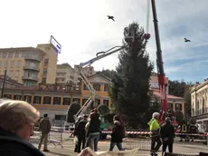 Lasorte Trieste 20/11/13 - Piazza Goldoni, Albero di Natale