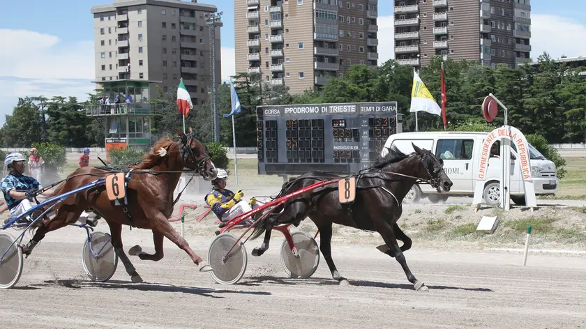 Lasorte Trieste 13/06/16 - Ippodromo di Montebello, Gran Premio Presidente della Repubblica