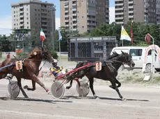 Lasorte Trieste 13/06/16 - Ippodromo di Montebello, Gran Premio Presidente della Repubblica