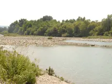 Bumbaca Gorizia Pescatori dispersi in Isonzo © Foto di Pierluigi Bumbaca