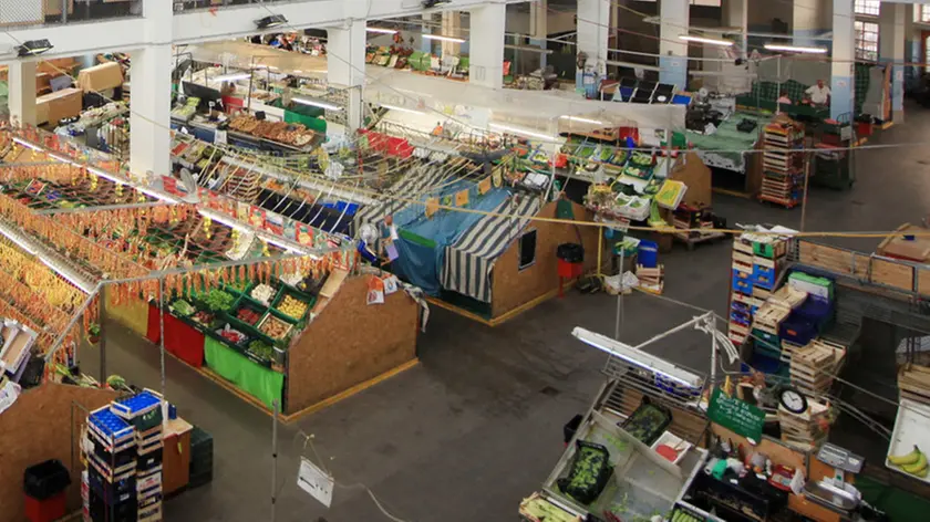 Lasorte Trieste 09/08/16 - Via Carducci, Mercato Coperto