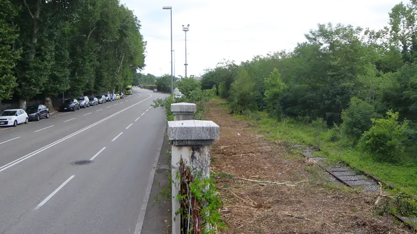 Lasorte Trieste 30/06/17 - Viale Miramare, Area Terrapieno, Ferrovia, Taglio Arbusti