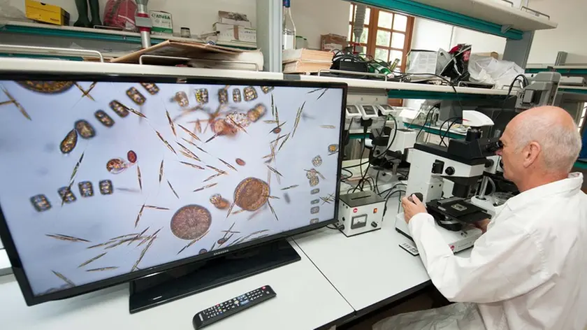 Silvano Trieste 21/06/2014 Visita alle strutture dell' OGS